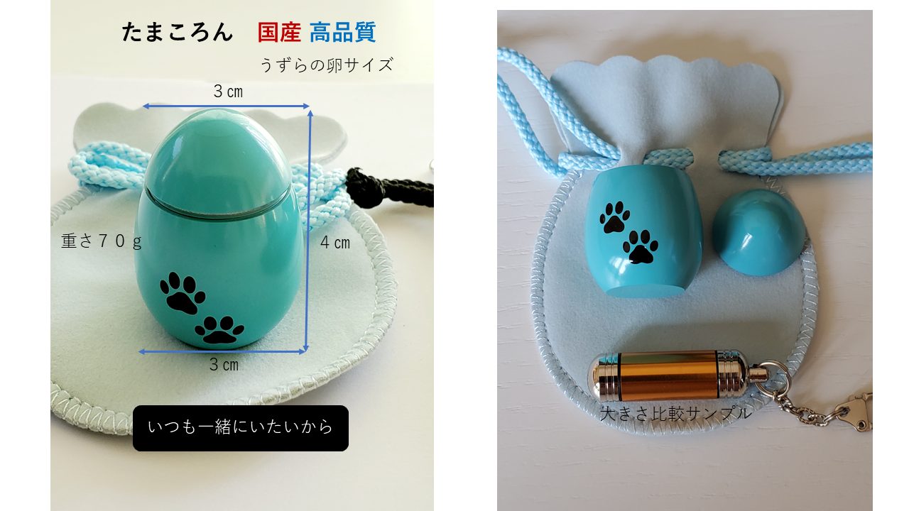 たまころん2 たまころん2