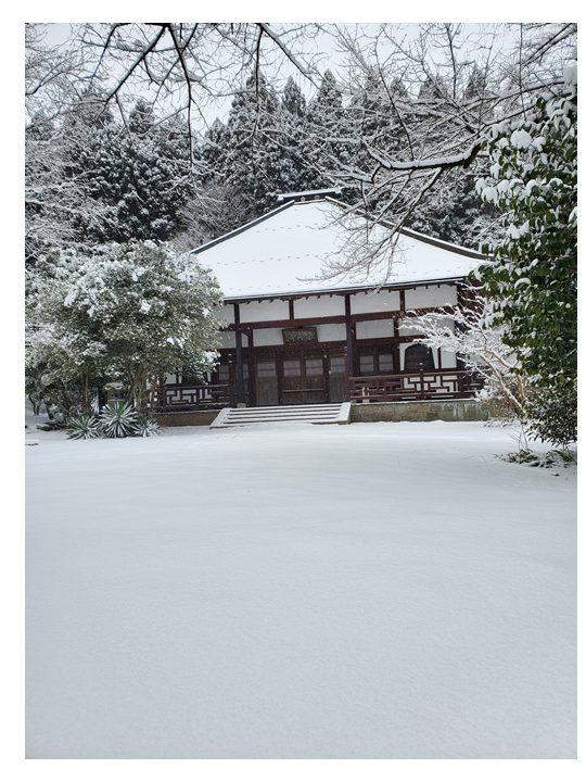 雪の龍興寺
