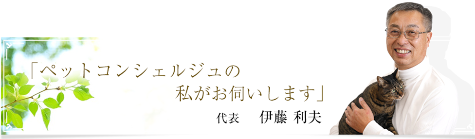 コンシェルジュ